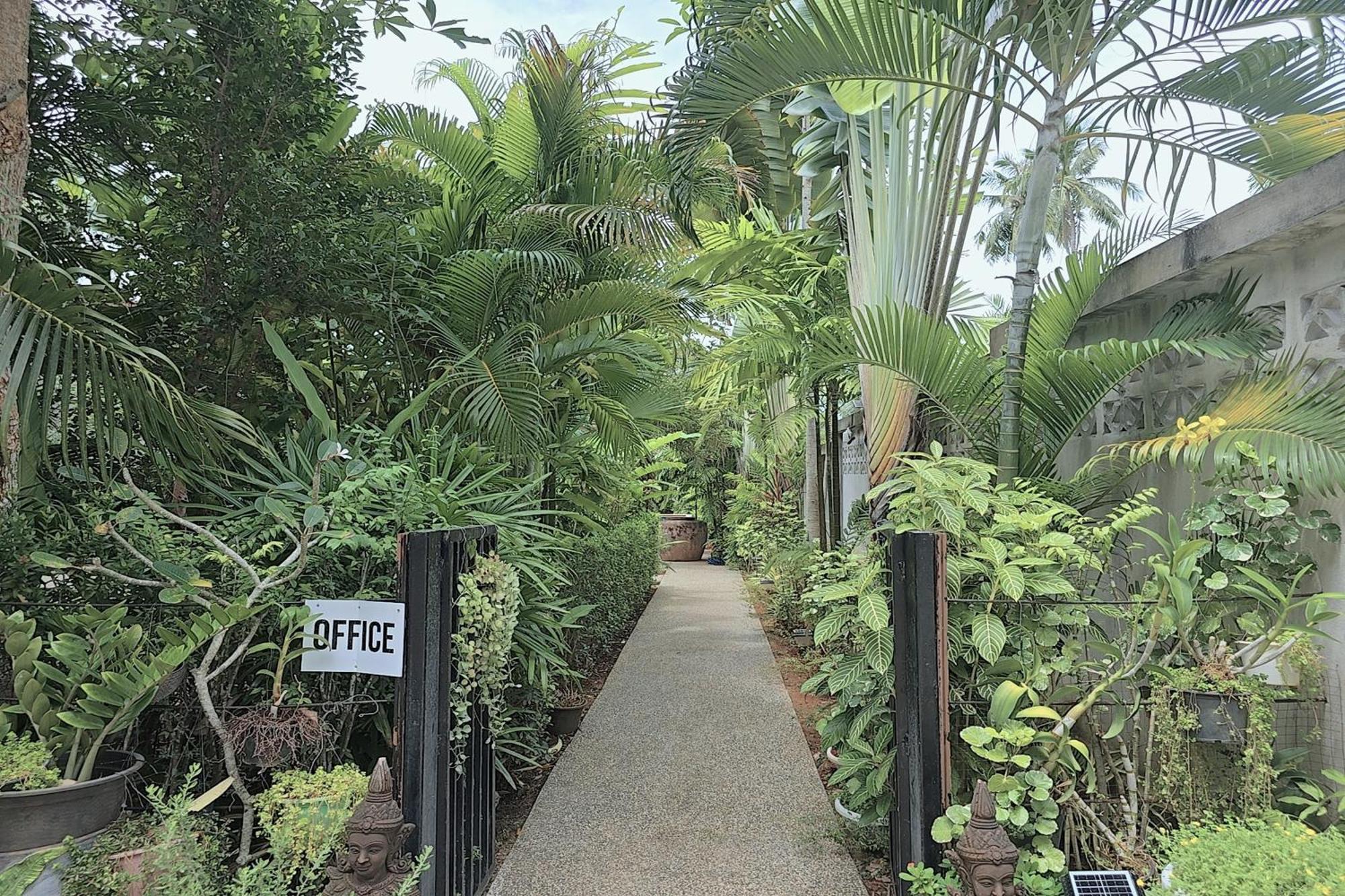 Aonangstudio